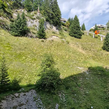 Rénové Pour 4 Pers. Près Des Pistes Et Commerces - Fr-1-425-207 Appartement